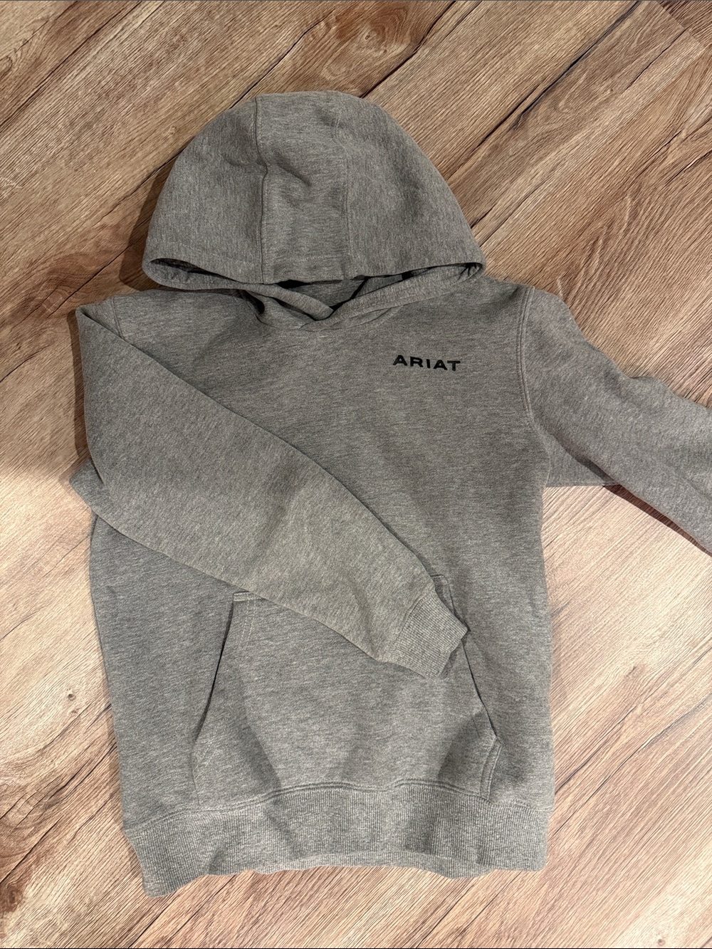 Ariat Heather Gray Hooded Sweatshirt - Picture 1 of 4